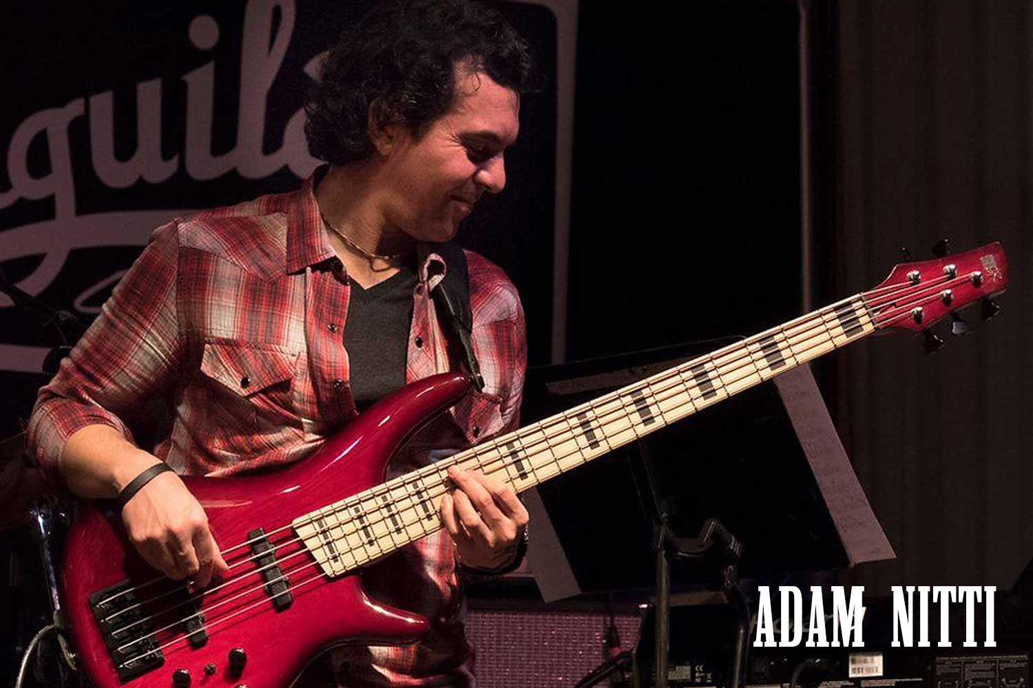 Adam Nitti on bass guitar